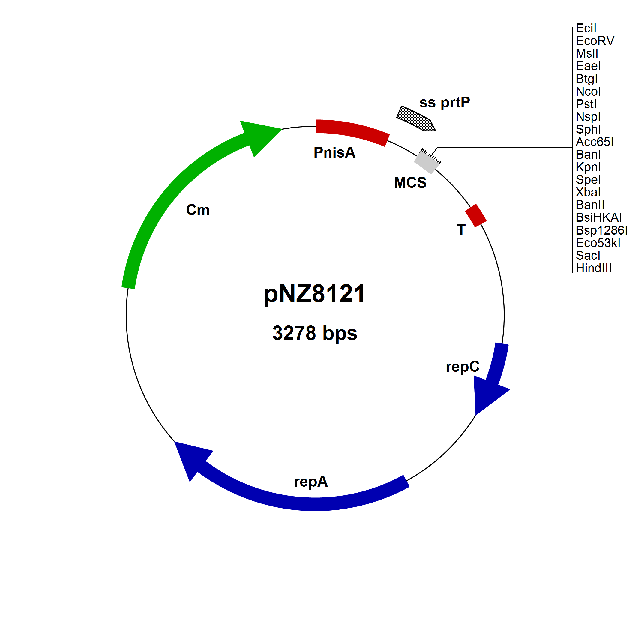 NICE® pNZ8121 Lactococcus lactis secretion vector, EcoRV site, 10 µg